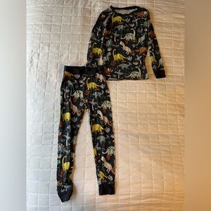 Little sleepies dinosaur 2 piece pajamas size 3T